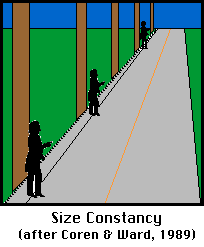 Size Constancy
