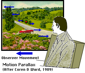 Motion Parallax