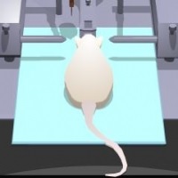 Picture of virtual rat