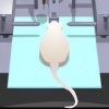 Picture of a rat on a table in a surgical apparatus